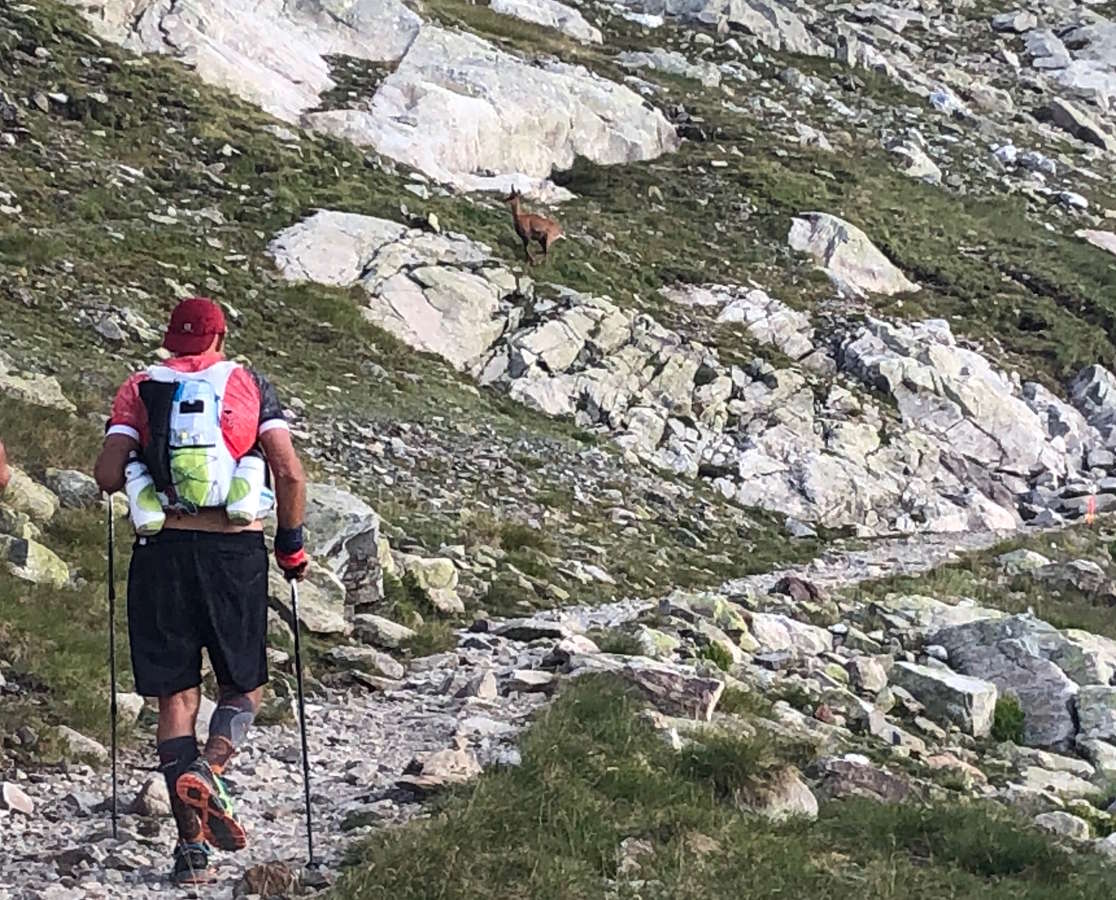 Trail montagne Pyrénées