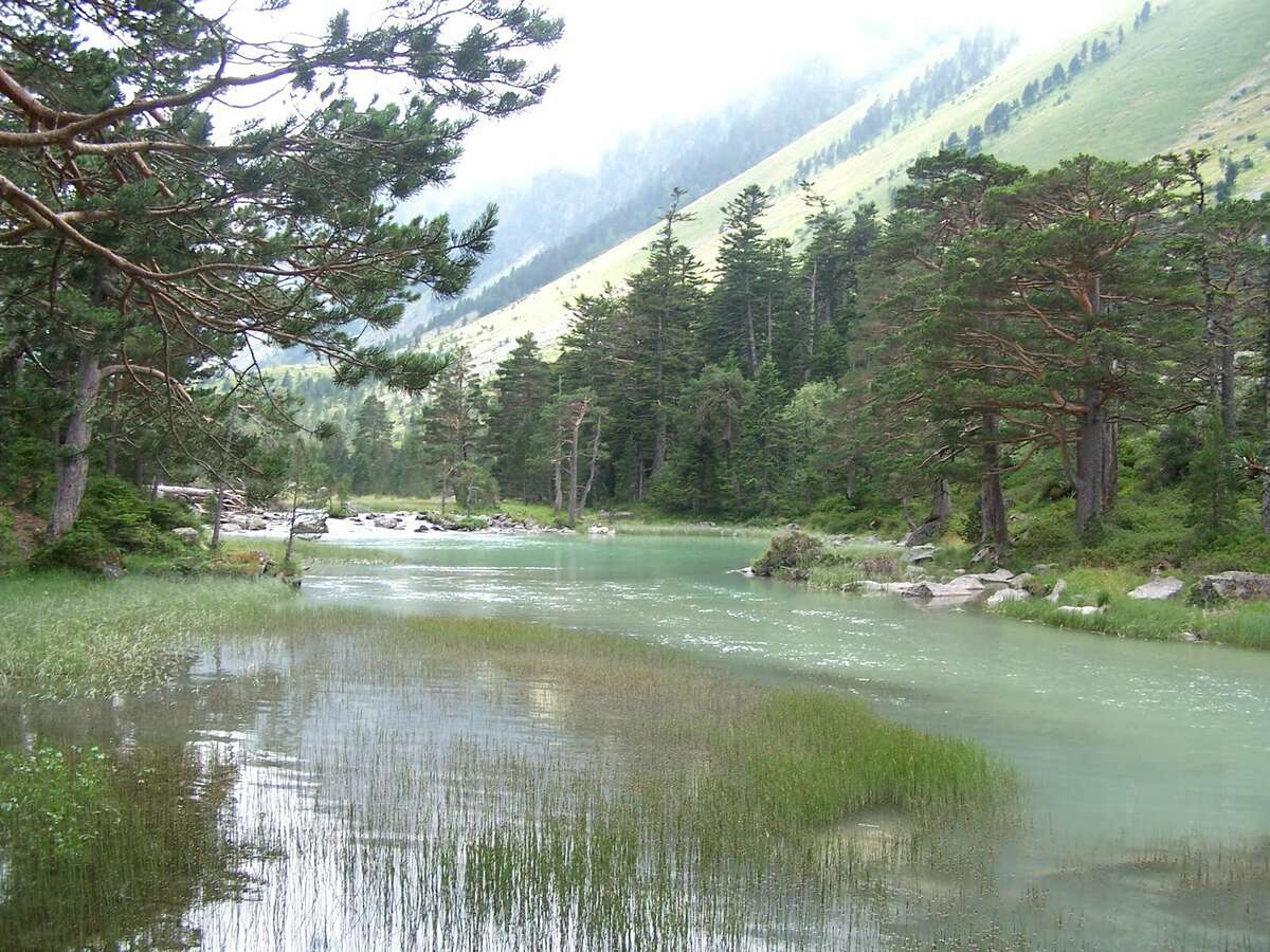 Vue sur le lac de Gaube lors de la randonnée guidée