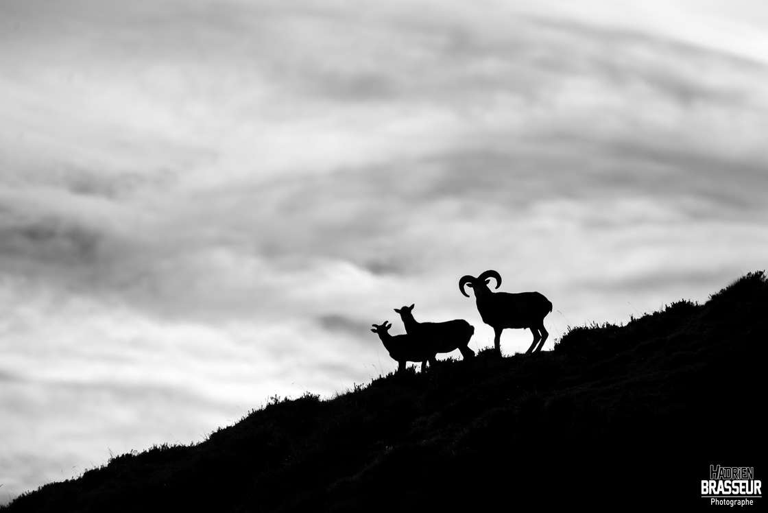 Stage photo dans les Hautes-Pyrénées